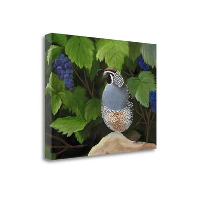 "Quail Grapes" By Julie Peterson, Fine Art Giclee Print on Gallery Wrap Canvas, Ready to Hang
