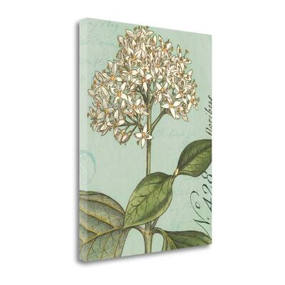 "Botanique Bleu IV" By Wild Apple Portfolio, Giclee Print on Gallery Wrap Canvas