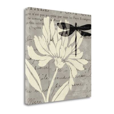 "Natural Prints II" By Daphne Brissonnet, Giclee Print on Gallery Wrap Canvas