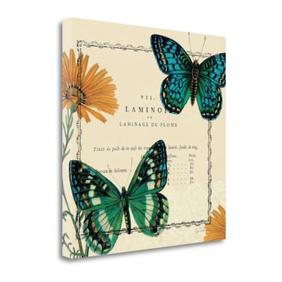 "Summer Pages III" By Sue Schlabach, Fine Art Giclee Print on Gallery Wrap Canvas, Ready to Hang