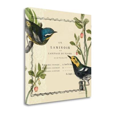 "Summer Pages II" By Sue Schlabach, Fine Art Giclee Print on Gallery Wrap Canvas, Ready to Hang