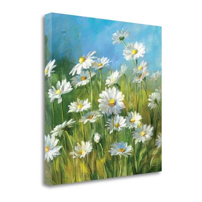 "Summer Field II" By Danhui Nai, Fine Art Giclee Print on Gallery Wrap Canvas, Ready to Hang