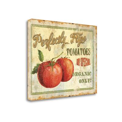 "Fresh III" By Lisa Audit, Fine Art Giclee Print on Gallery Wrap Canvas, Ready to Hang