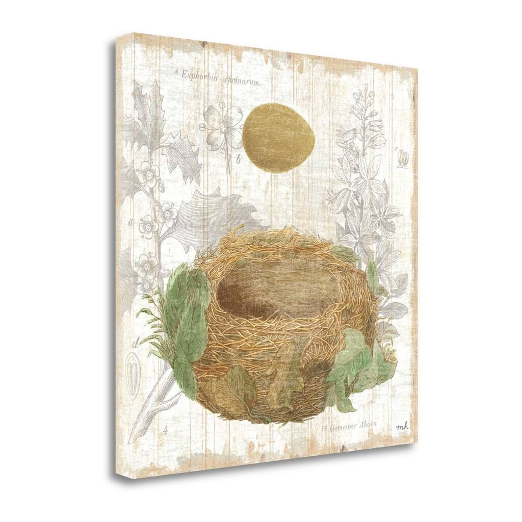 "Botanical Nest IV" By Moira Hershey, Fine Art Giclee Print on Gallery Wrap Canvas, Ready to Hang
