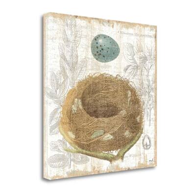 "Botanical Nest III" By Moira Hershey, Fine Art Giclee Print on Gallery Wrap Canvas, Ready to Hang