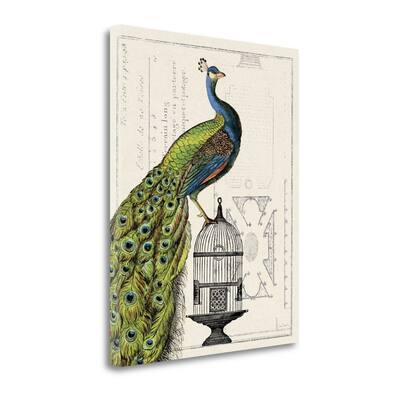 "Peacock Birdcage I" By Sue Schlabach, Fine Art Giclee Print on Gallery Wrap Canvas, Ready to Hang