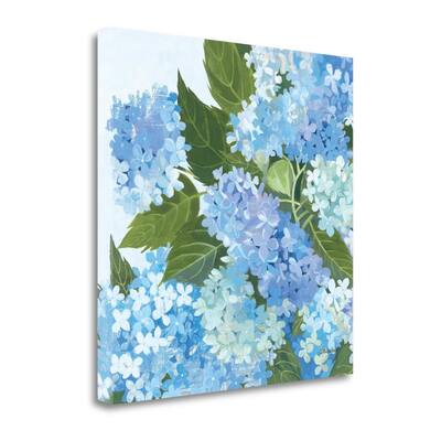 "Decorative Hydrangea I" By Kathrine Lovell, Giclee Print on Gallery Wrap Canvas
