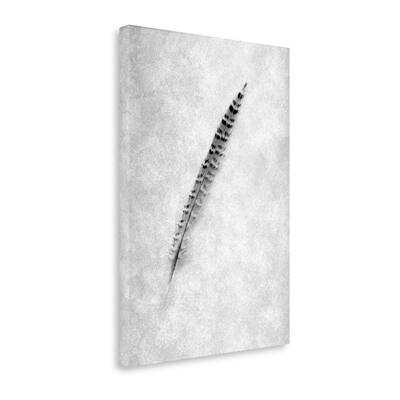 "Feathers - 9" By Alan Blaustein, Fine Art Giclee Print on Gallery Wrap Canvas, Ready to Hang