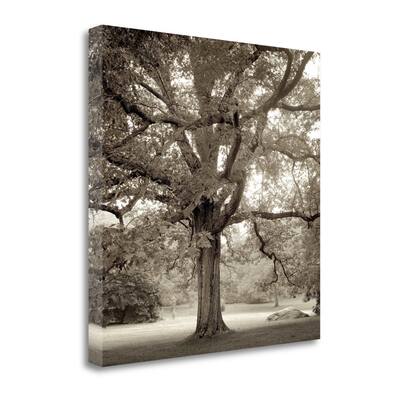 "Hampton Maple - 1" By Alan Blaustein, Fine Art Giclee Print on Gallery Wrap Canvas, Ready to Hang