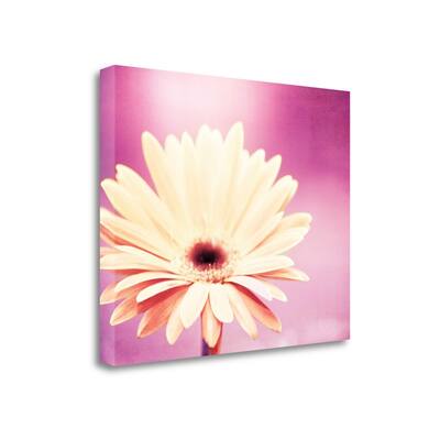 "Peachy Keen" By Carolyn Cochrane, Fine Art Giclee Print on Gallery Wrap Canvas, Ready to Hang