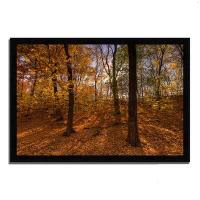 "Sun Spackled Wood ", Framed Photograph Print
