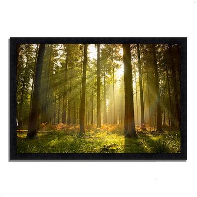 "Forest at Dusk", Framed Photograph Print