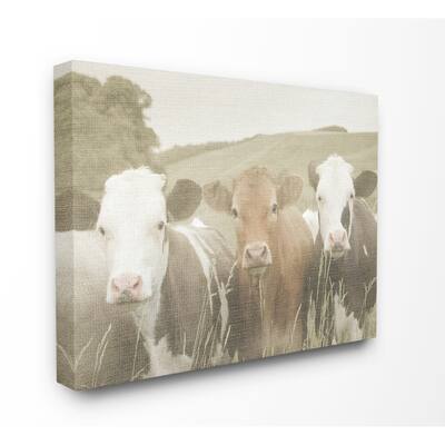 Stupell Happy Neighbors Cows in the Field, Proudly Made in USA - 36 x ...