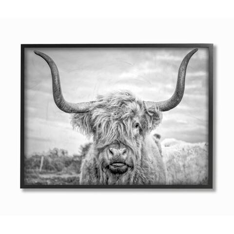 Stupell Industries Black and White Highland Cow Photograph Black Framed, 24 x 30, Proudly Made in USA - 24 x 30