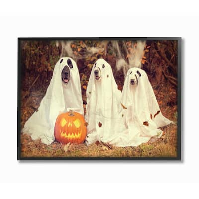 Stupell Industries Vintage Photography Halloween Pumpkin And Ghost Dogs Black Framed, 16 x 20, Proudly Made in USA - 16 x 20