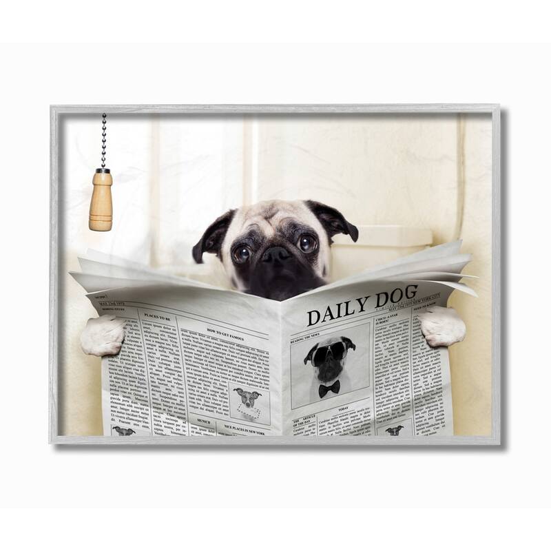Stupell Industries Pug Reading Newspaper in Bathroom Grey Framed, 11 x 14, Proudly Made in USA - 11 x 14