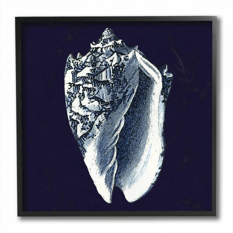 Stupell Distressed Navy and White Conch Shell Black Framed, 12 x 12, Design By Artist World Art Group - 12 x 12