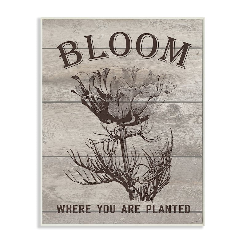 Stupell Bloom Where You're Planted Vintage Flower Line Drawing Wood ...