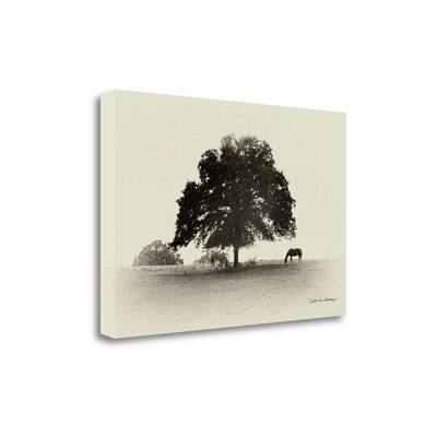 "Horses And Trees I" By Debra Van Swearingen, Giclee on Gallery Wrap Canvas