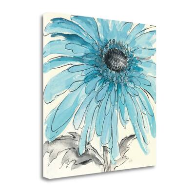 "Gerbera Blue III" By Chris Paschke, Fine Art Giclee Print on Gallery Wrap Canvas, Ready to Hang