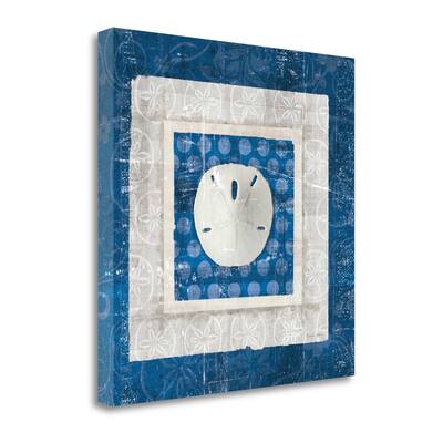 "Sea Shell I On Blue" By Belinda Aldrich, Giclee Print on Gallery Wrap Canvas