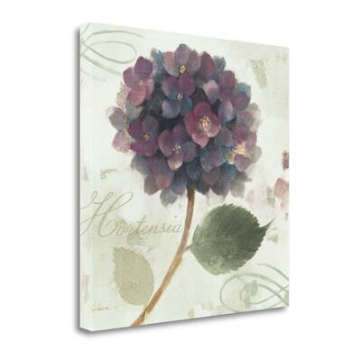 "Abundant Hydrangea II Blue Green" By Albena Hristova, Gallery Wrap Canvas