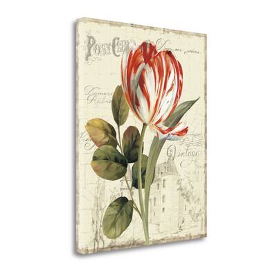 "Garden VIew II - Red Tulip" By Lisa Audit, Giclee Print on Gallery Wrap Canvas