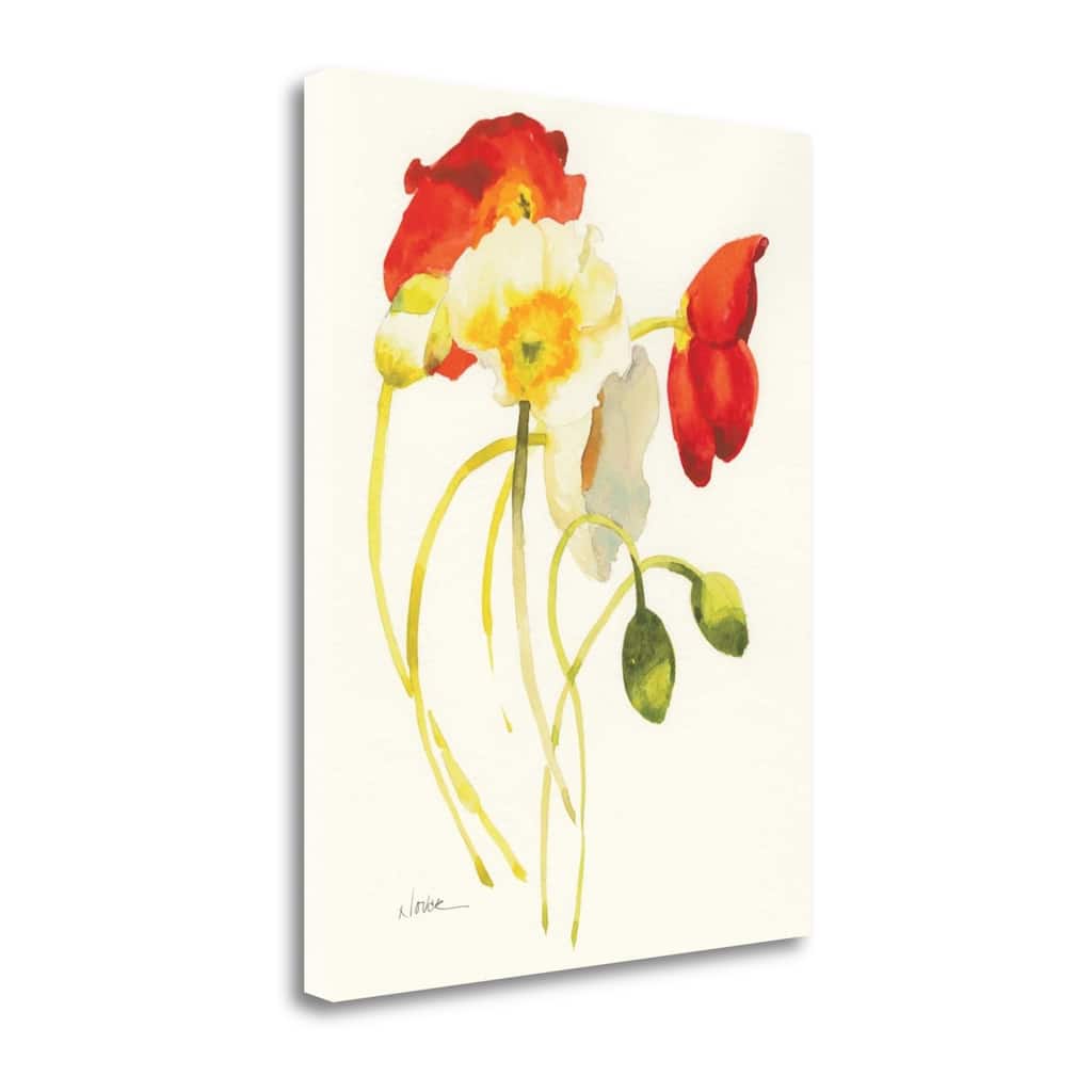 "Red And White Icelands I" By Shirley Novak, Giclee Print on Gallery Wrap Canvas