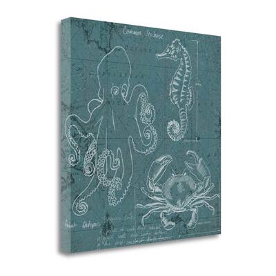 "Coastal Blueprint II" By Marco Fabiano, Giclee Print on Gallery Wrap Canvas