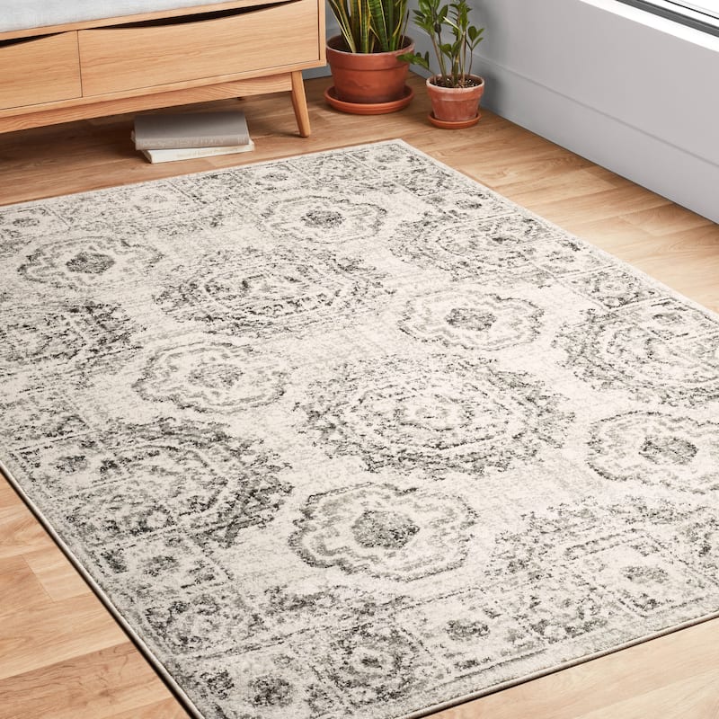 Alexander Home Bellagio Kaleidoscope Distressed Traditional Rug - 2'7" x 4' - IVORY / CHARCOAL - Runner/Rectangle