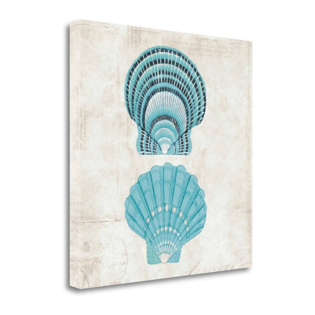 "Under The Sea III" By Sabine Berg, Fine Art Giclee Print on Gallery Wrap Canvas, Ready to Hang