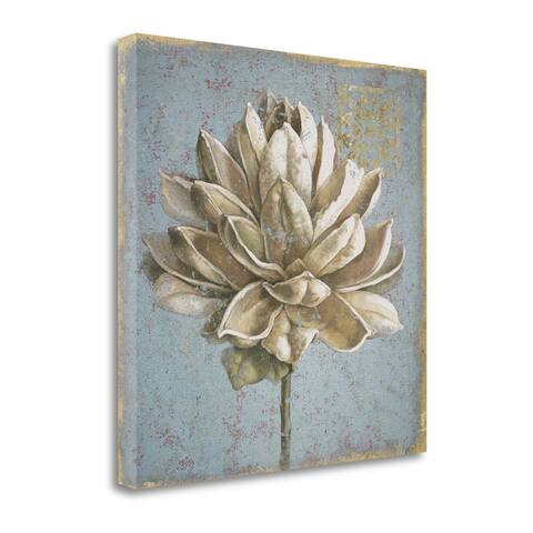 "Seed Pod I No Words" By Beth Grove, Fine Art Giclee Print on Gallery Wrap Canvas, Ready to Hang