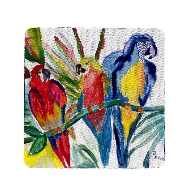 Parrot Family Coaster Set of 4