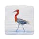 Reddish Egret Coaster Set of 4 - Bed Bath & Beyond - 30375002