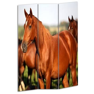 3 Panel Foldable Wooden Screen with Horse Print, Brown