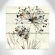 preview thumbnail 20 of 22, Nature's Lace I
