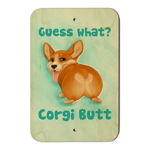 corgi x for sale