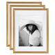 Kate and Laurel Adlynn Photo Frame Set - 14x18 matted to 11x14 - 3 Piece - Gold