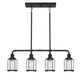 preview thumbnail 3 of 3, Quoizel Ludlow Earth Black 4-light Island Chandelier