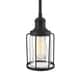 preview thumbnail 4 of 2, Quoizel Ludlow Earth Black 1-light Mini Pendant