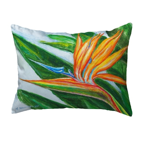 Bird of Paradise Small No-Cord Pillow 11x14