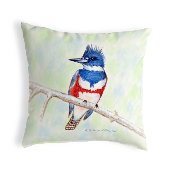 Kingfisher Small No-Cord Pillow 12x12