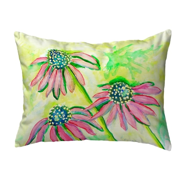 Cone Flowers Small No-Cord Pillow 11x14