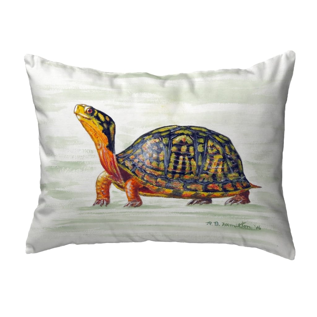 Happy Turtle Small No-Cord Pillow 11x14