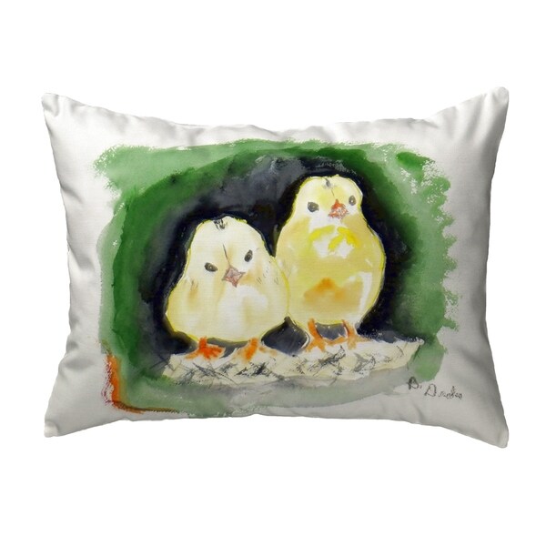Chicks Small No-Cord Pillow 11x14