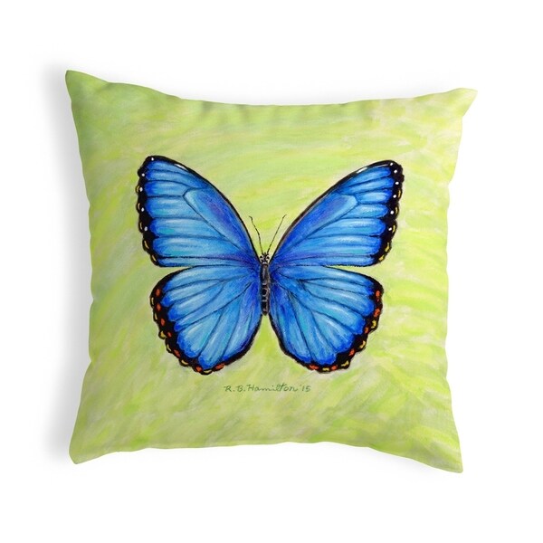 Dick's Blue Morpho Small No-Cord Pillow 12x12