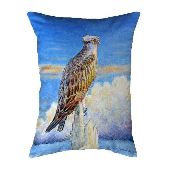 Osprey Storm Noncorded Pillow 11x14