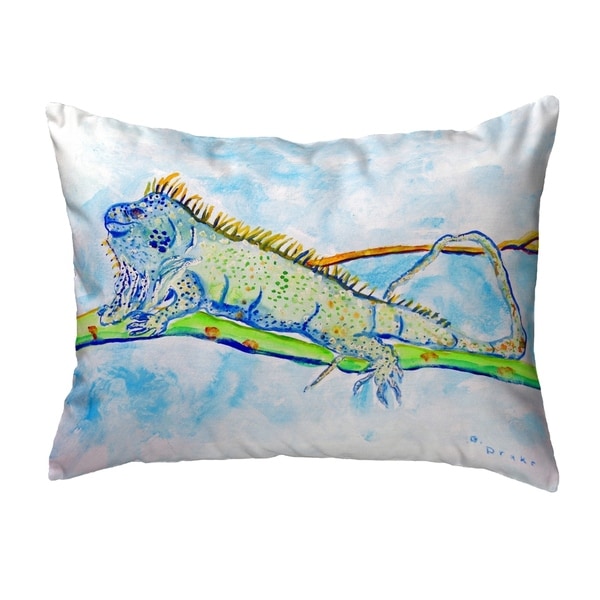 Iguana Small No-Cord Pillow 11x14