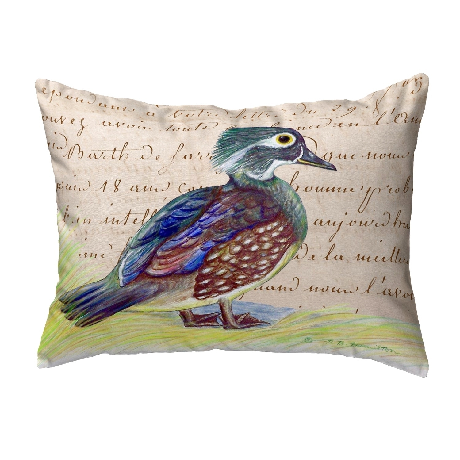 https://ak1.ostkcdn.com/images/products/30420990/Female-Wood-Duck-Script-Small-No-Cord-Pillow-11x14-b7a2ead3-7d7f-4769-bae5-f7243def4bdd.jpg