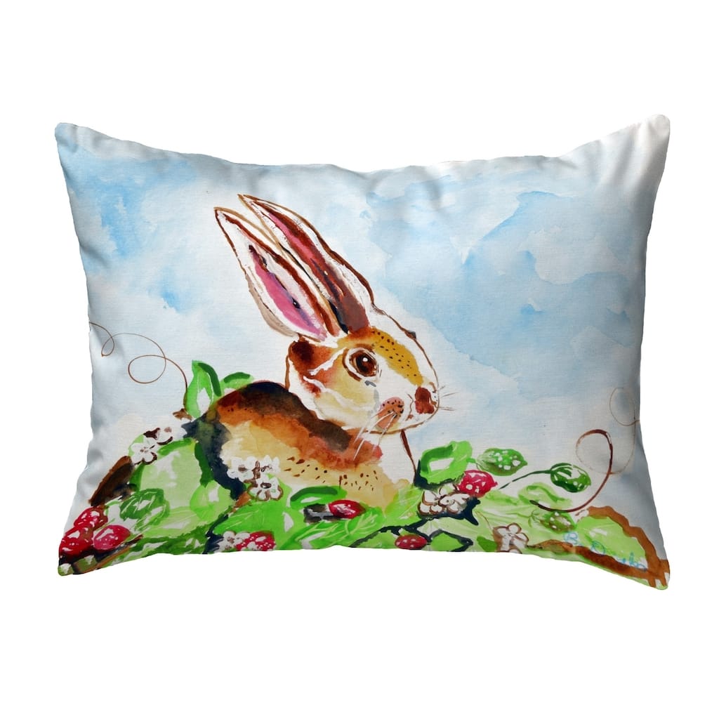 Jack Rabbit Right No Cord Pillow 16x20